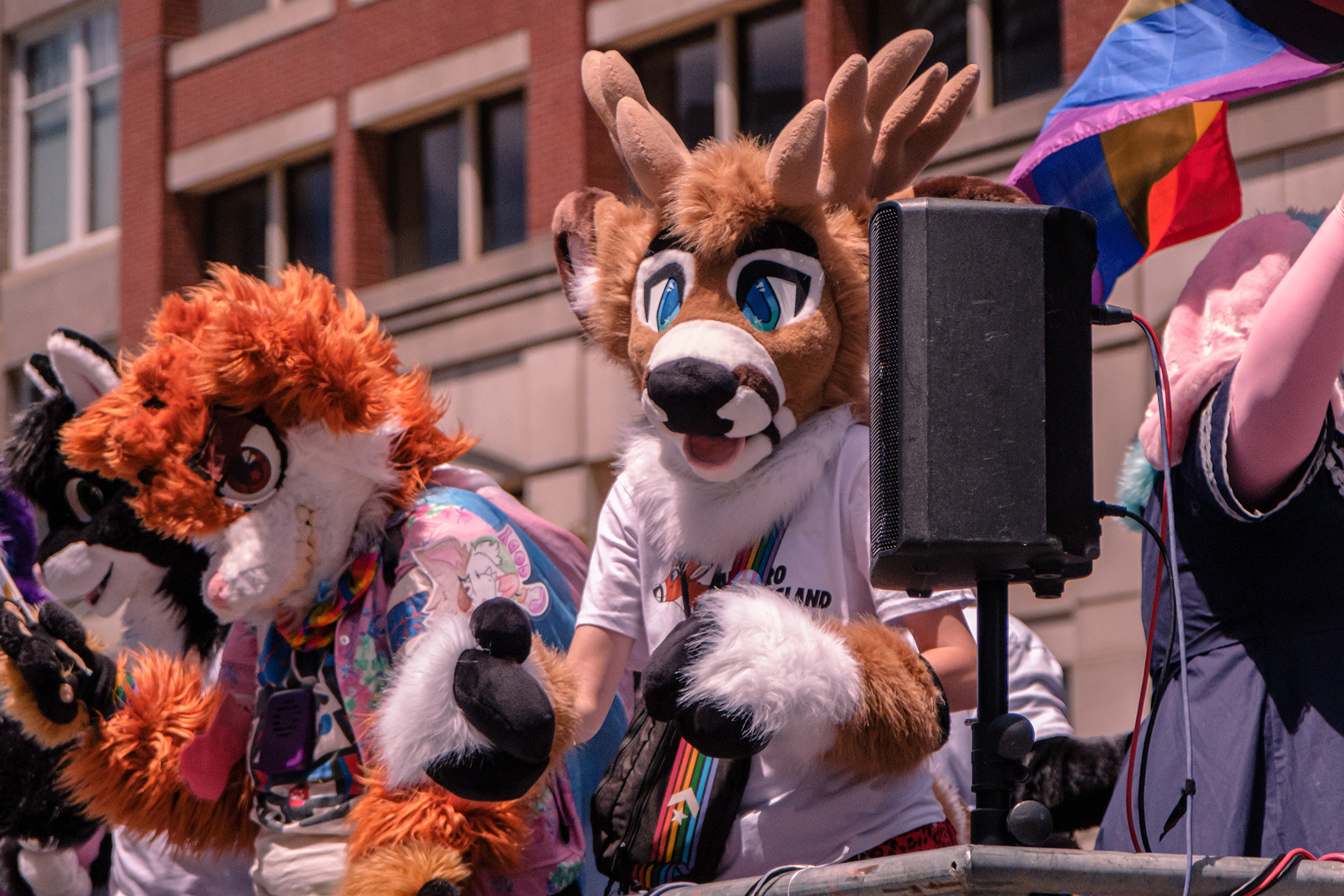 Photo by MarcusFox